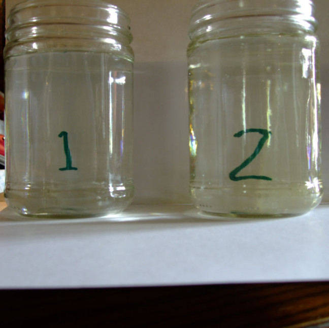 water samples